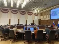 Мастер-план развития острова Большой Уссурийский утвердили на заседании градостроительного совета