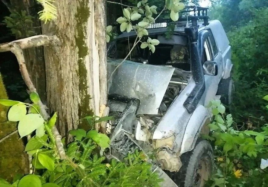 Toyota съехала в кювет и врезалась в дерево в Солнечном округе – пострадали трое Toyota съехала в кювет и врезалась в дерево в Солнечном округе – пострадали трое