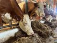 Правительство края поддерживает производство местной сельхозпродукции