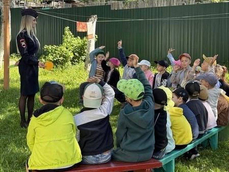 В Ванинском районе прошло профилактическое мероприятие "Юный пешеход" В Ванинском районе прошло профилактическое мероприятие "Юный пешеход"