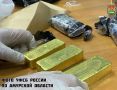 Мужчина нашел в мусоре три золотых слитка почти на 55 млн рублей в Благовещенске