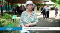 Более 40 пенсионеров Комсомольска-на-Амуре увлеклись скандинавской ходьбой благодаря проекту «Активное лето»