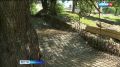 «Много делаем вручную»: первый этап реконструкции бульваров в Хабаровске завершат к октябрю