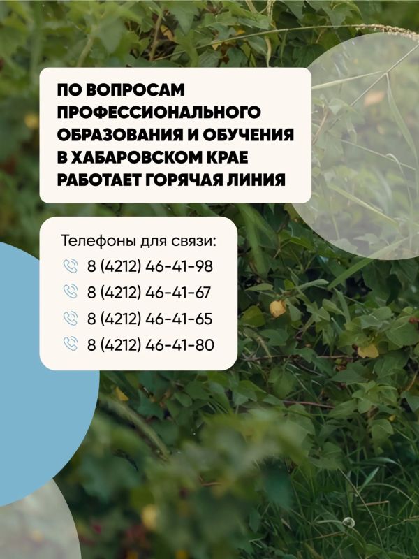 В Хабаровском крае продолжается приемная кампания в вузы В Хабаровском крае продолжается приемная кампания в вузы