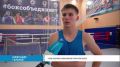 Хабаровск в ноябре впервые примет Всероссийский кубок губернатора по боксу среди мужчин от 18 до 40 лет