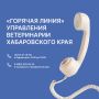 «Горячая линия» управления ветеринарии Хабаровского края