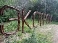 В Амурской области продолжают благоустраивать экотропу «Дендрарий» в рамках проекта «Тропы Дальнего Востока»