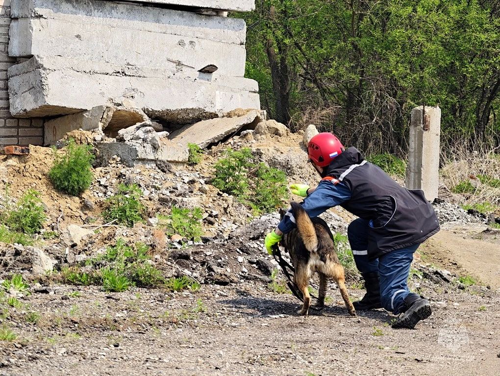 Более 90 человек получили помощь спасателей ПСО (с. Ракитное) МЧС России за 6 месяцев 2026 года Более 90 человек получили помощь спасателей ПСО (с. Ракитное) МЧС России за 6 месяцев 2026 года