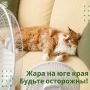 На этой неделе на юге региона - жара