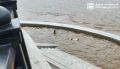 Прохожий спас двоих детей, купавшихся в Амуре