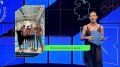 � ����� ������� ������� ������������ ����: ��� ������ � ������� ���������� ������� ������