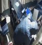 � ���������� ������� ������� �� ������ ��������������� ������