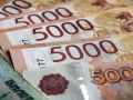 В Хабаровском крае участились случаи краж с банковских карт и мошенничества