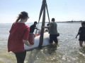 В Хабаровском крае спасли застрявших на мели белух — двух взрослых и троих детенышей