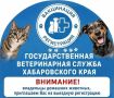� ���������� ������ �������� ����������� � ���������� �������� ��������