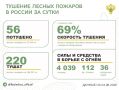 За прошедшие сутки в 12 регионах России потушили 56 лесных пожаров
