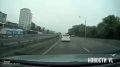Котята выпали из движущегося авто во Владивостоке