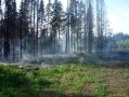 В Хабаровском крае за выходные потушили десять лесных пожаров
