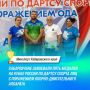 Команда из Хабаровского края стала третьей на Кубке России по дартсу