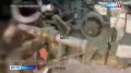 Воины-дальневосточники вскрыли и уничтожили две диверсионно-разведывательные группы противника