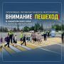 В Хабаровском крае стартовало оперативно-профилактическое мероприятие «Внимание пешеход»