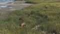 ����������� ������� ���� �������������� �������� ��� �� ���� � ����������