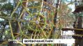 Верёвочный парк откроют в центре Хабаровска в начале сентября