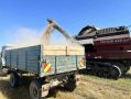 Дожди приостановили уборку зерновых в хозяйствах Хабаровского края