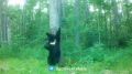 ������� ������� ����� � ��������