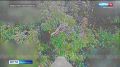 �� ����� ������������� ����������� ����� ������� ���������� 14 ����� �������� ����������