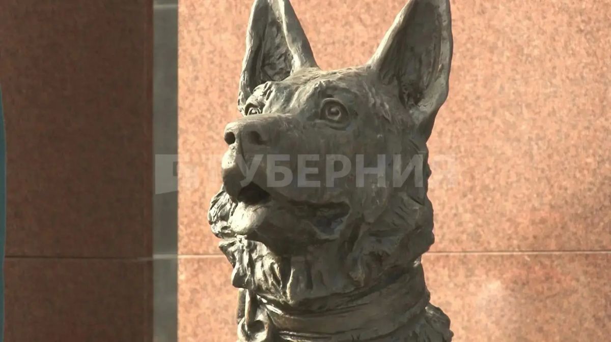 Торжественное открытие мемориала участникам СВО состоялось в Хабаровске Торжественное открытие мемориала участникам СВО состоялось в Хабаровске