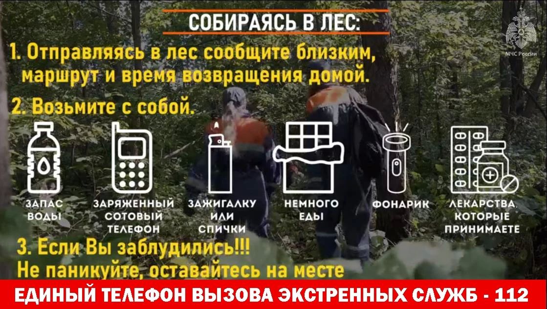 Любителям "тихой" охоты на заметку ! Любителям "тихой" охоты на заметку !