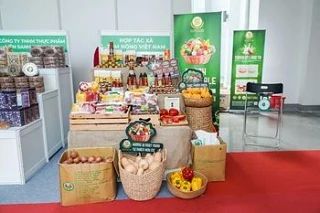 Россия — Евразия: новые горизонты агропромышленного сотрудничества Россия — Евразия: новые горизонты агропромышленного сотрудничества