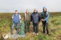 Трех щенков морского котика, запутавшихся в сети, спасли на Командорских островах