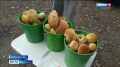 ������ ����� � ���� ����, �� ����� ����: � ����������� ���� � ��������� ������� ���