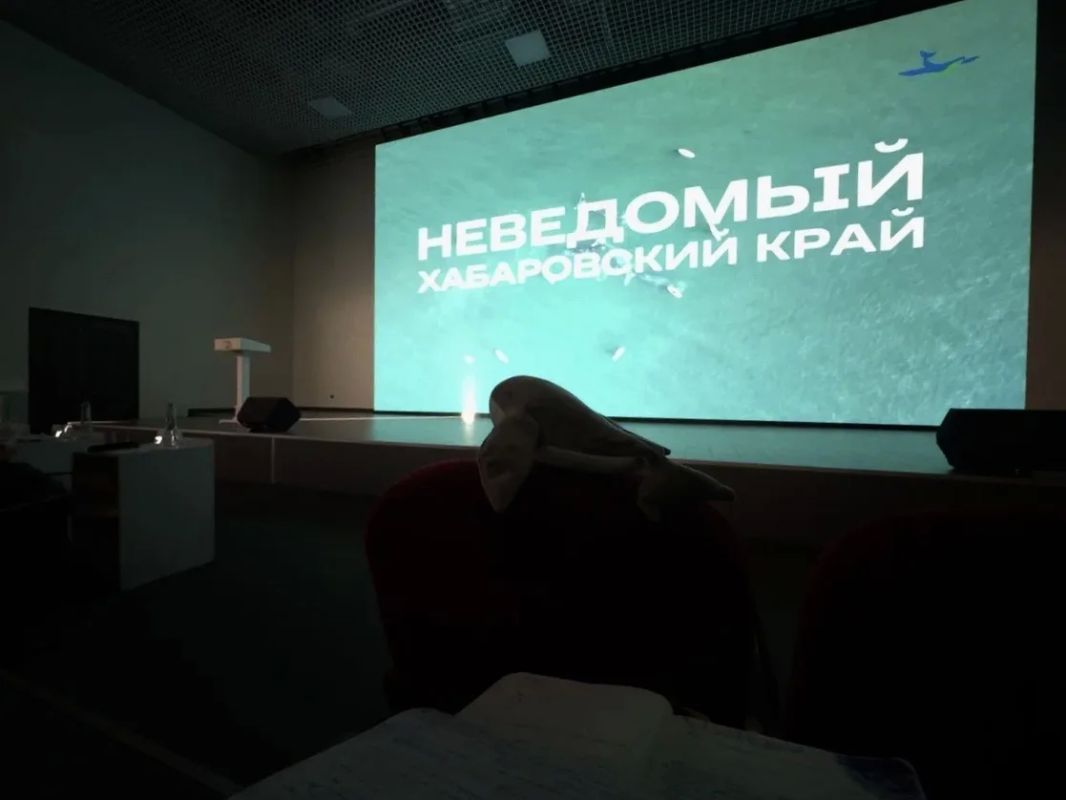 Фильм о Хабаровском крае занял первое место на Всероссийском конкурсе-фестивале «Диво России» Фильм о Хабаровском крае занял первое место на Всероссийском конкурсе-фестивале «Диво России»