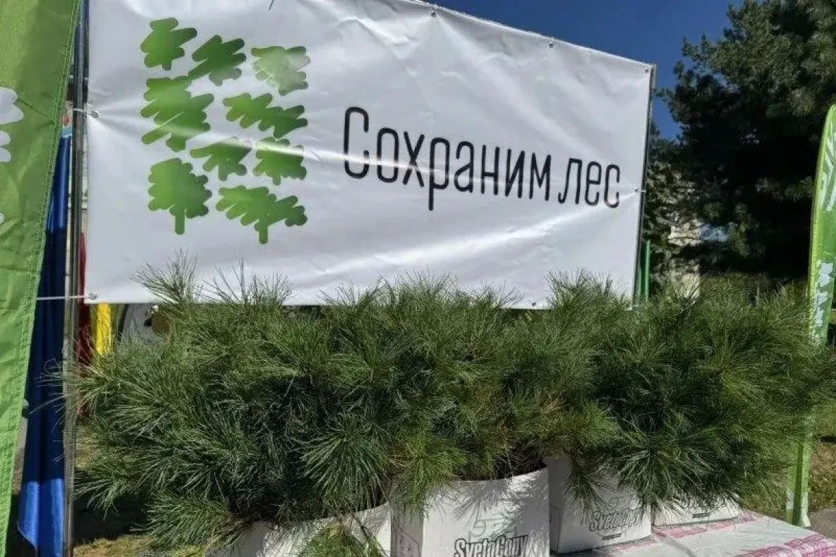 Аллею в рамках акции «Сохраним лес» заложили в Корфовском к 135летию посёлка