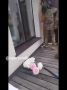 В Хабаровском крае вскрыта ячейка экстремистской организации "Партия" Воля"