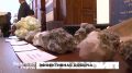 Научные разработки в сфере горнодобычи представили в Хабаровске