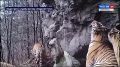 ����� � ������� �� �����������, ������������� � ����� ����, ������� �� ������ ������������ �����