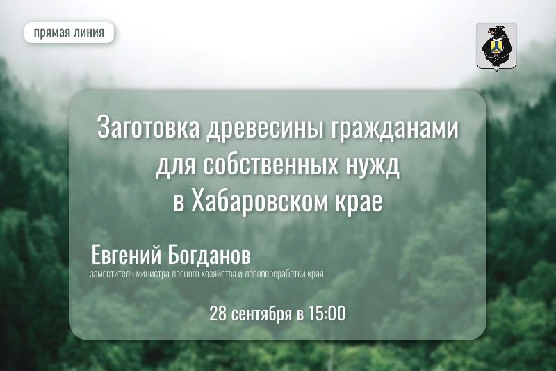 Ввиду сложившихся обстоятельств, прямая линия по вопросу заготовки древесины для собственных нужд граждан переносится