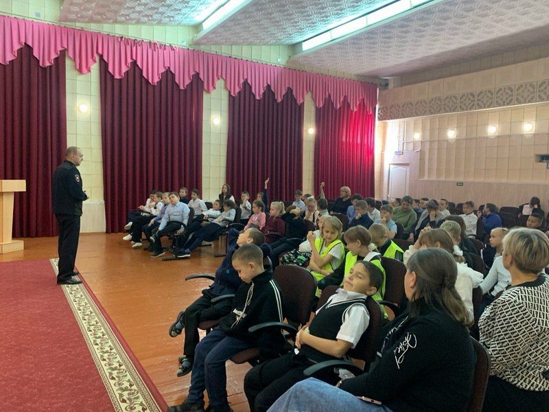 В Амурском районе в рамках Недели безопасности прошли уроки дорожной грамотности В Амурском районе в рамках Недели безопасности прошли уроки дорожной грамотности