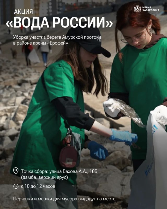 Встречаемся завтра на субботнике! Встречаемся завтра на субботнике!