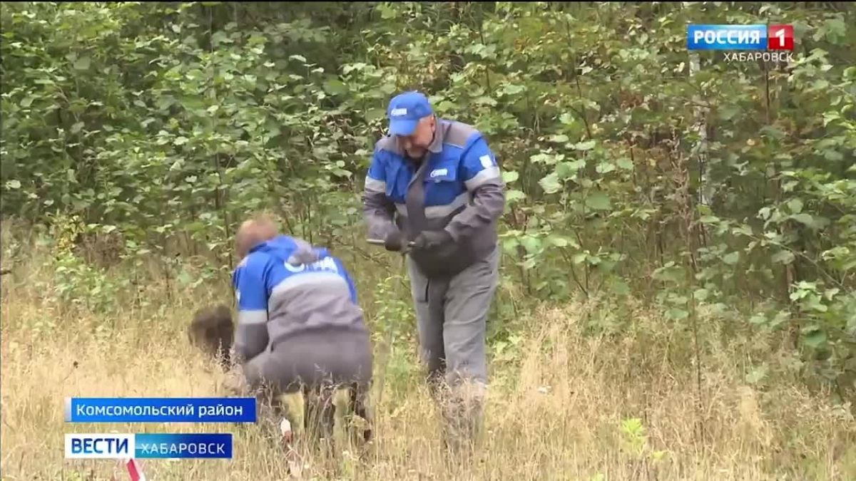 Акция "Сохраним лес" продолжается в Хабаровском крае