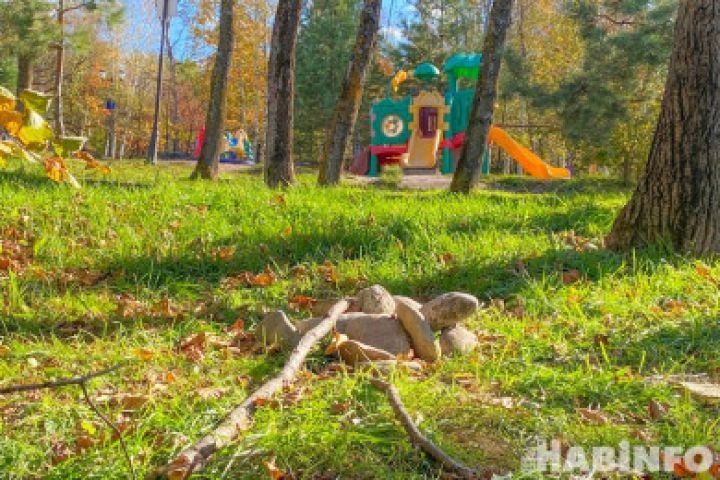 Магнитные бури, радиационный фон и пробки в Хабаровске 25 сентября