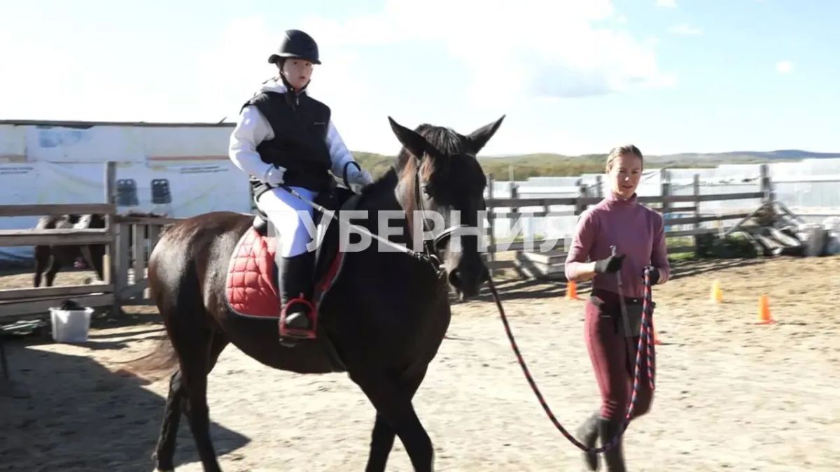 Иппотерапевтический центр «Созвездие лошади» в Комсомольске оказался на грани закрытия Иппотерапевтический центр «Созвездие лошади» в Комсомольске оказался на грани закрытия