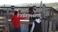 Иппотерапевтический центр «Созвездие лошади» в Комсомольске оказался на грани закрытия