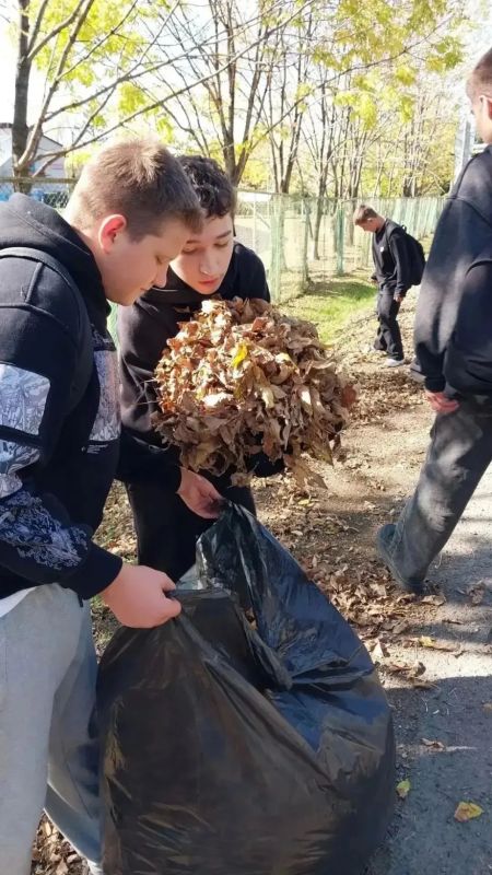 Традиция добрых дел: в Хабаровском крае стартовал осенний субботник Традиция добрых дел: в Хабаровском крае стартовал осенний субботник