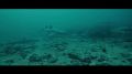 ������� ���� �������� �������� � ������� �������