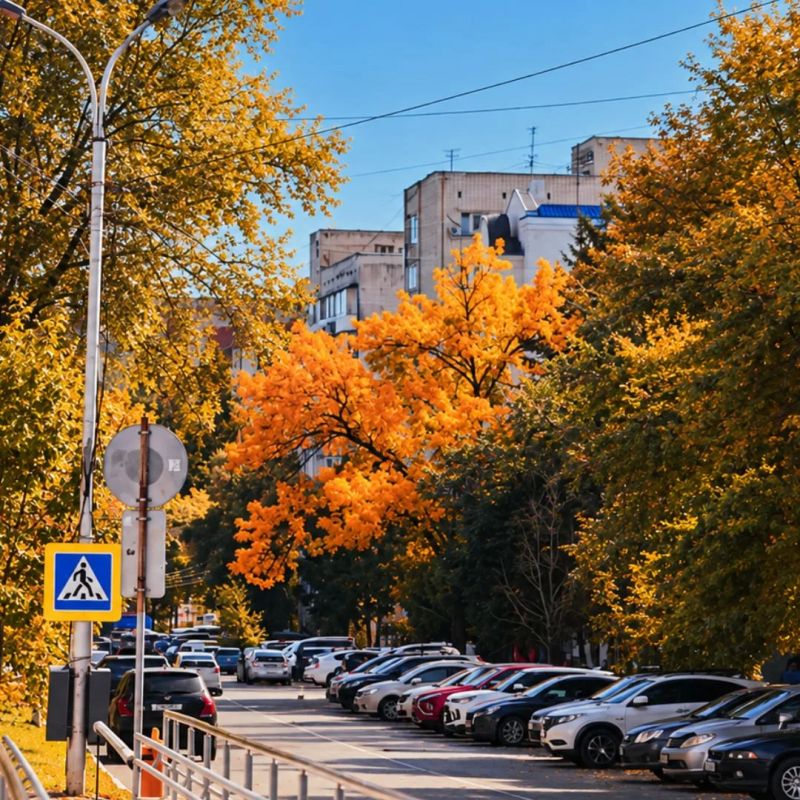 Подкидываем осеннего вайба тебе в ленту, как горстку опавших листьев Подкидываем осеннего вайба тебе в ленту, как горстку опавших листьев